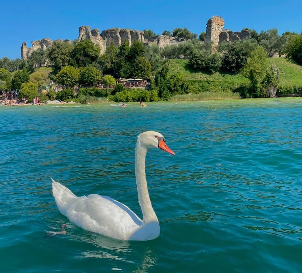 Appartamento Casa Vacanze Spiaggia D'Oro Desenzano del Garda Zewnętrze zdjęcie